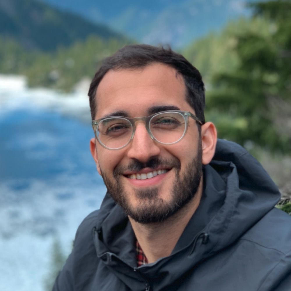 Ali Madani