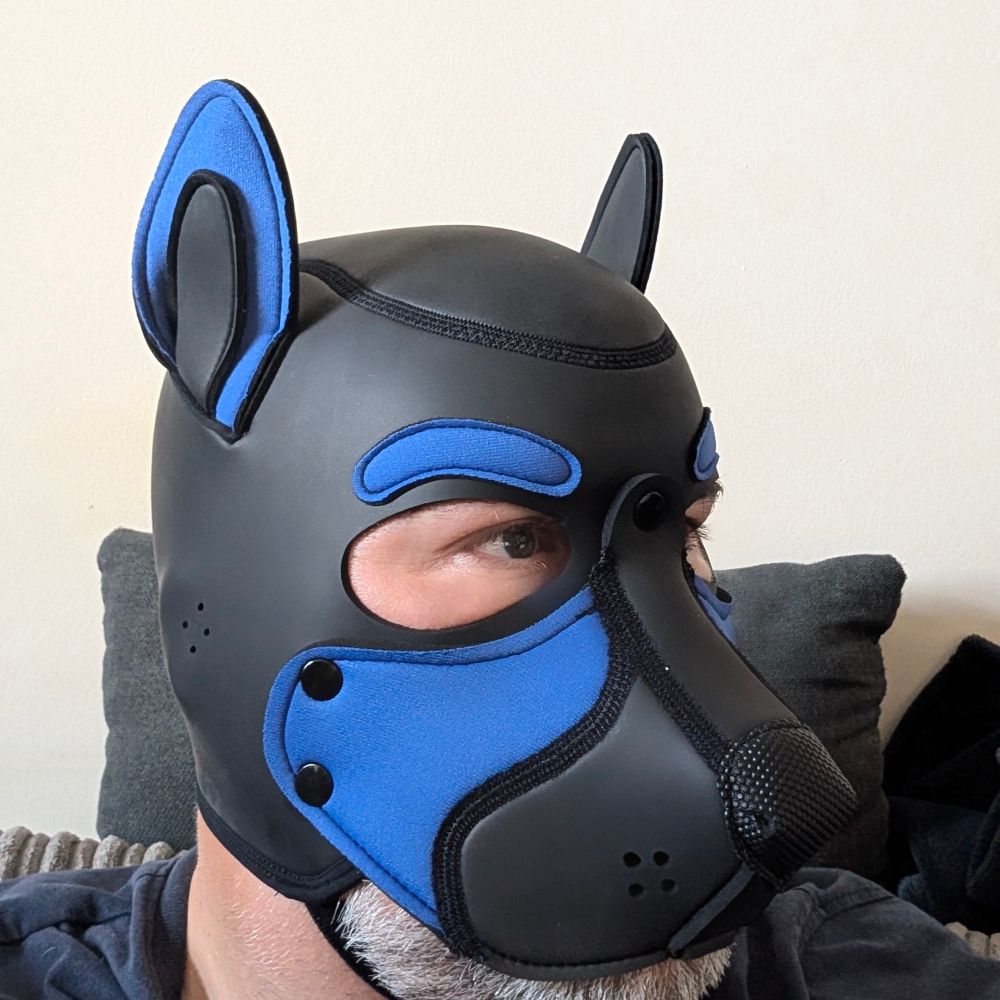 Pup SNEAX 🐶🐻🐾👟🧦👮‍♂️