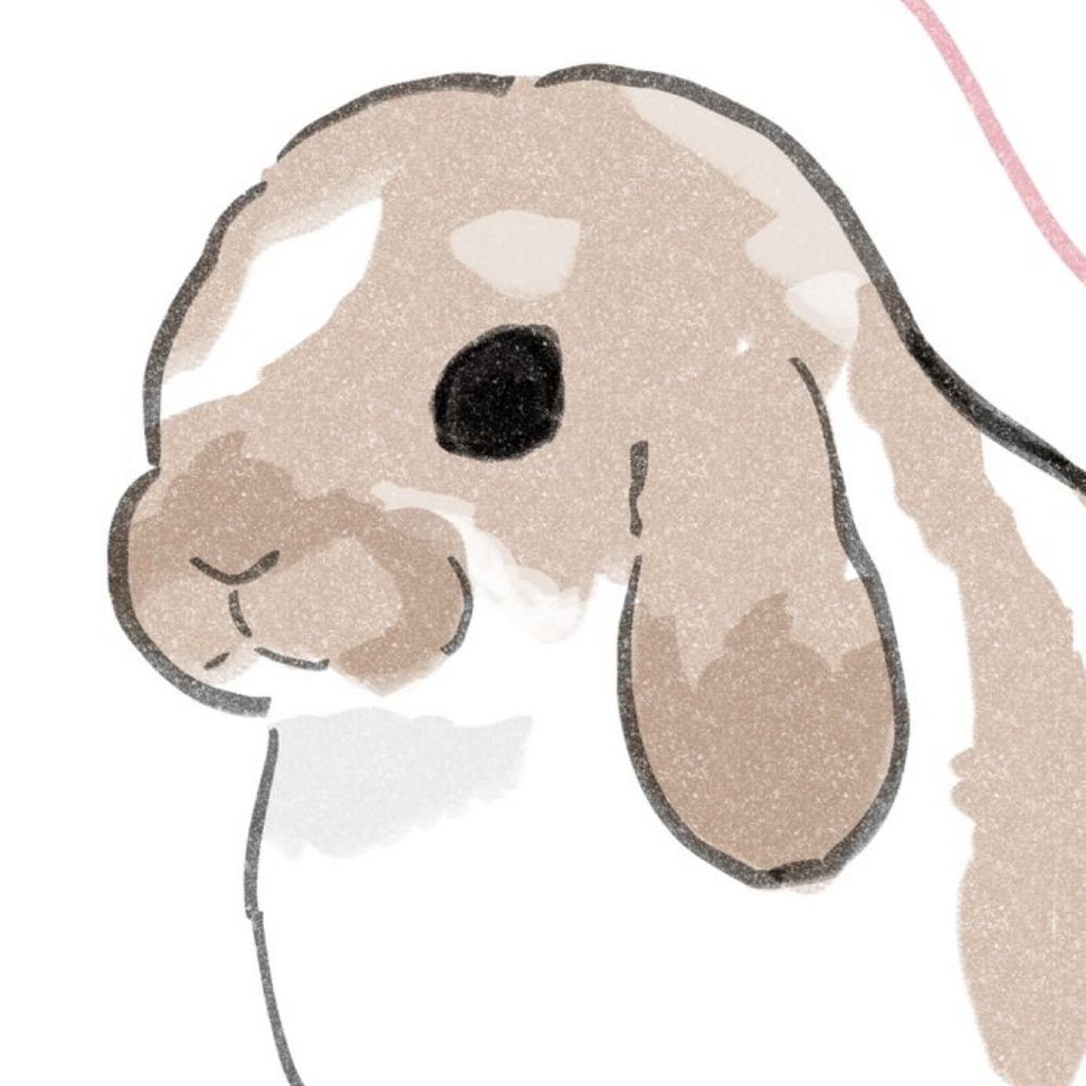 もやし
