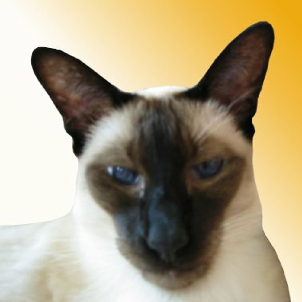Sula's avatar