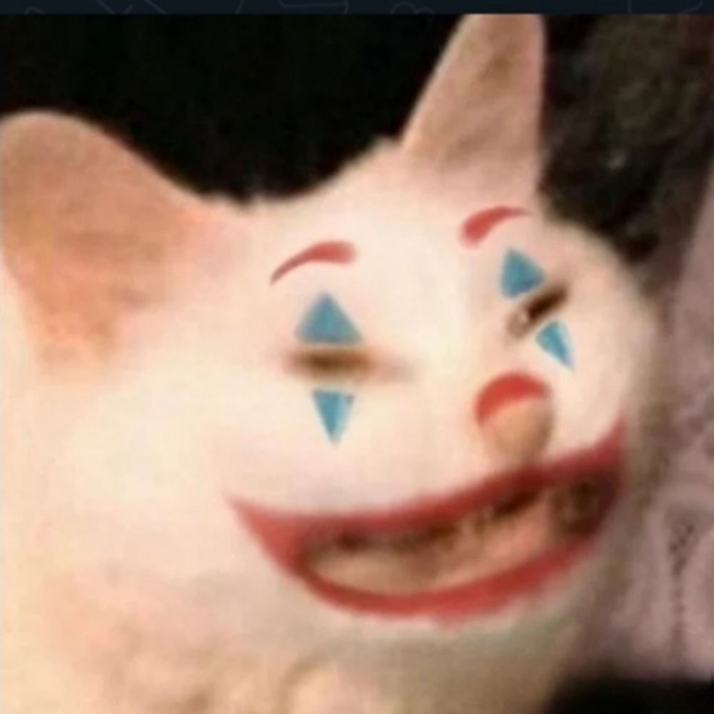 𝑪𝒂𝒕 ⛤⭑