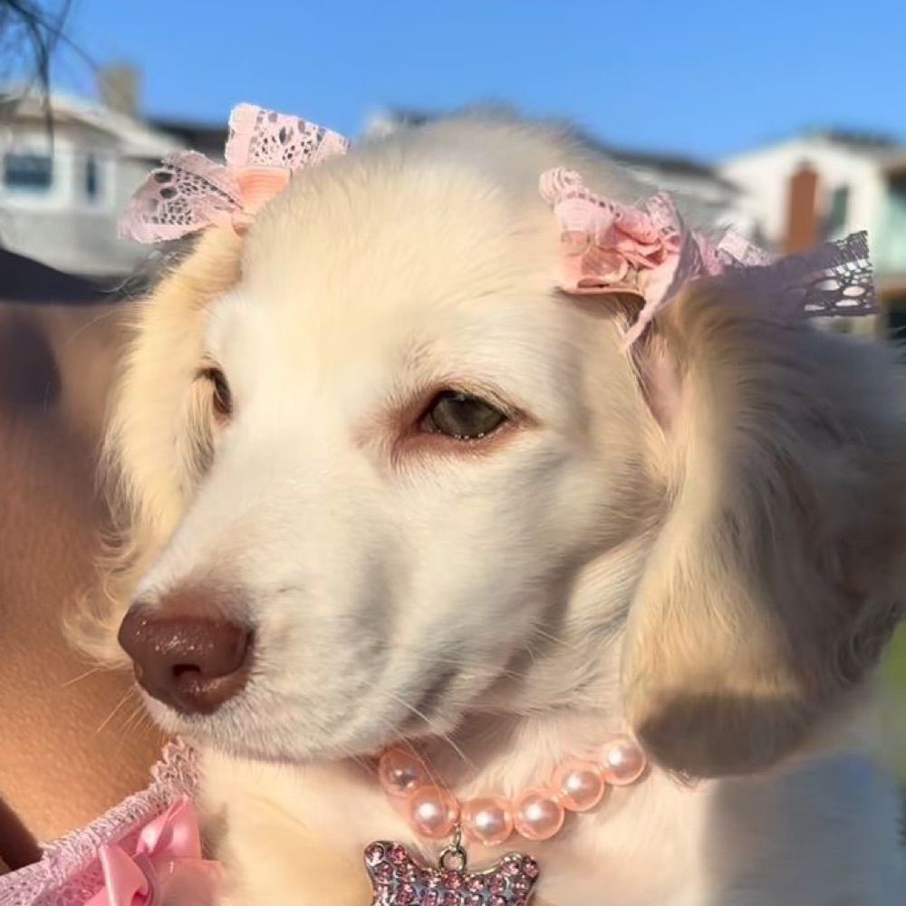zoey