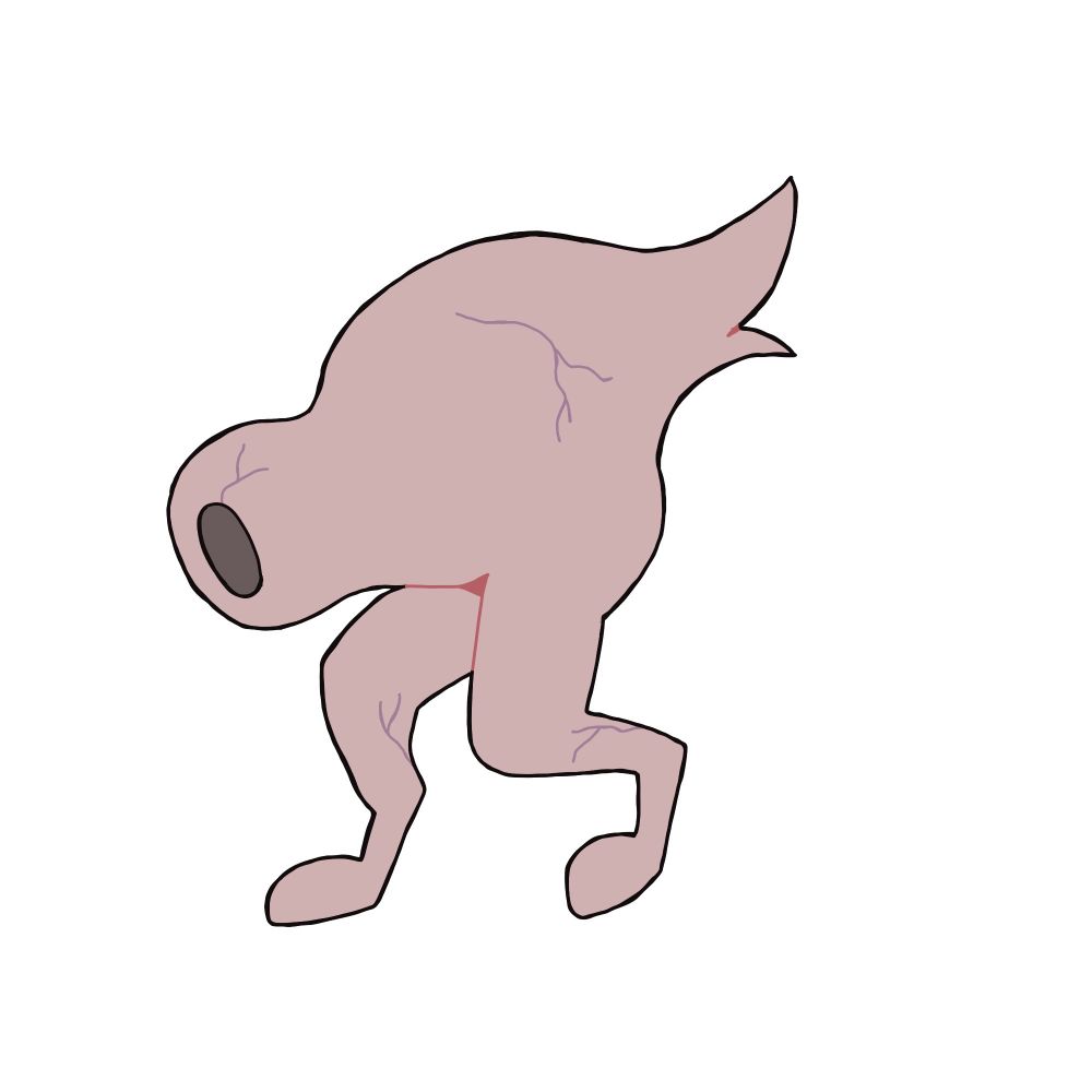 Kiha