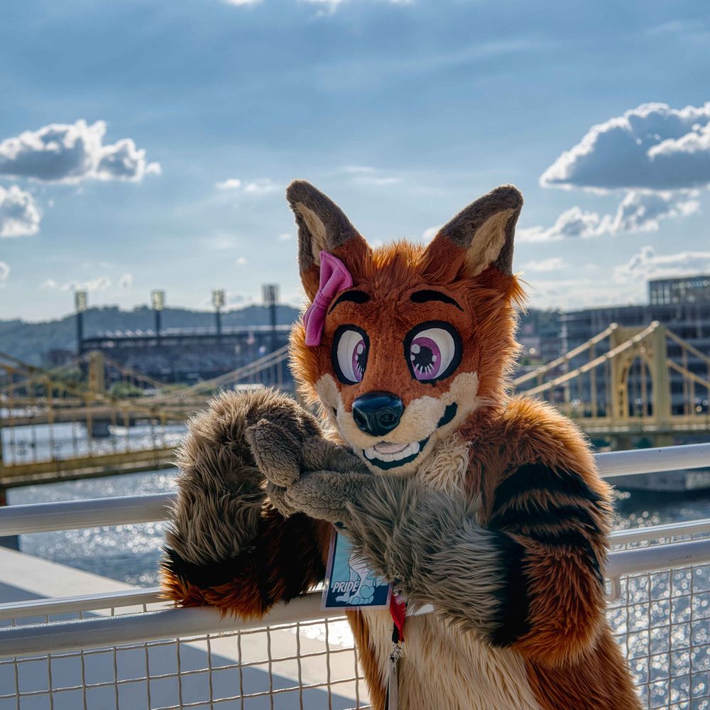 TimusTheFox