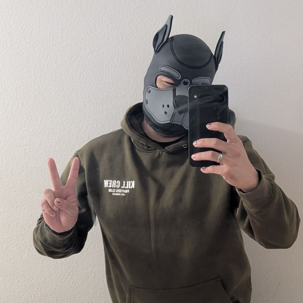 Pup Orion