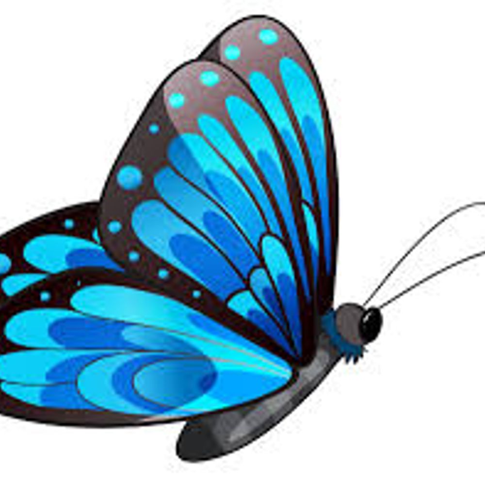 Bsky Copilot 🦋