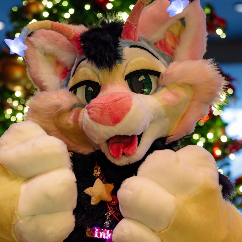 Sunny >mff