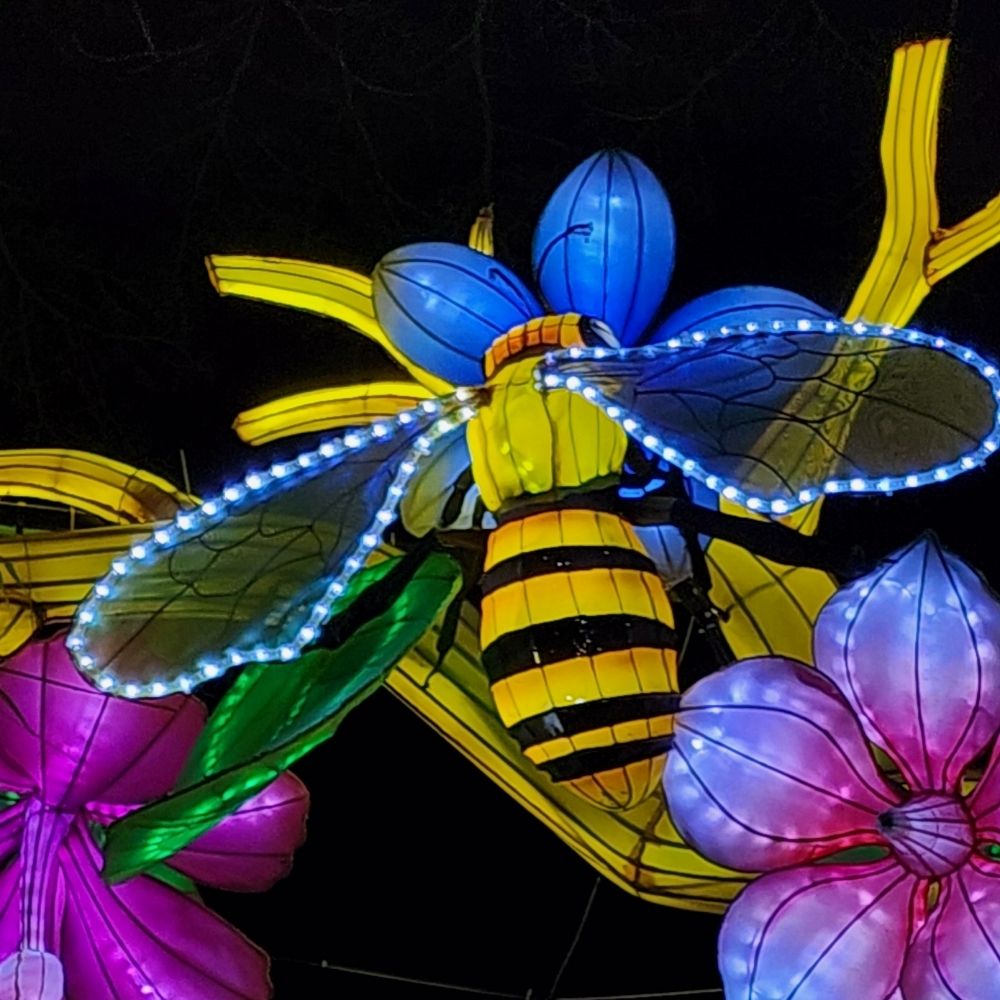 Bee1