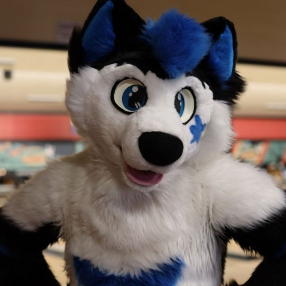 Suka Husky