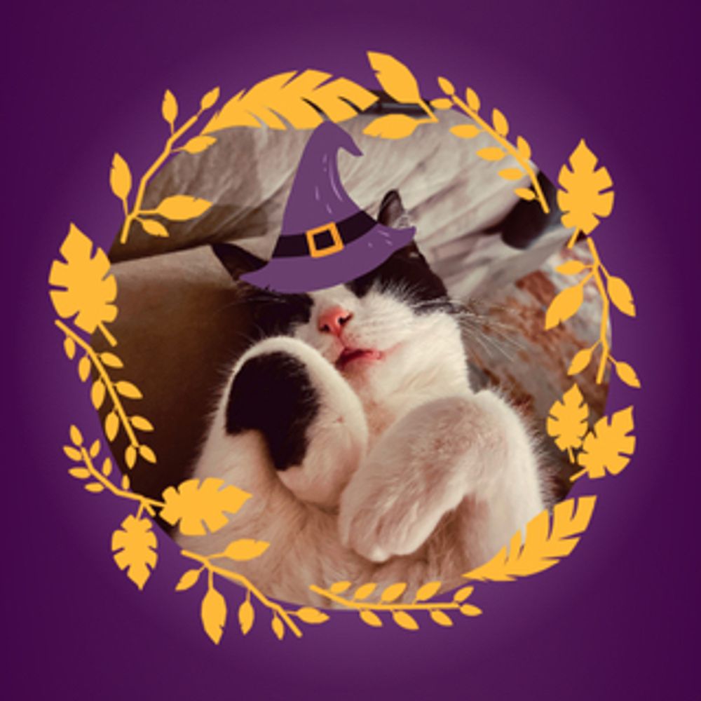 seasonalobsession.bsky.social