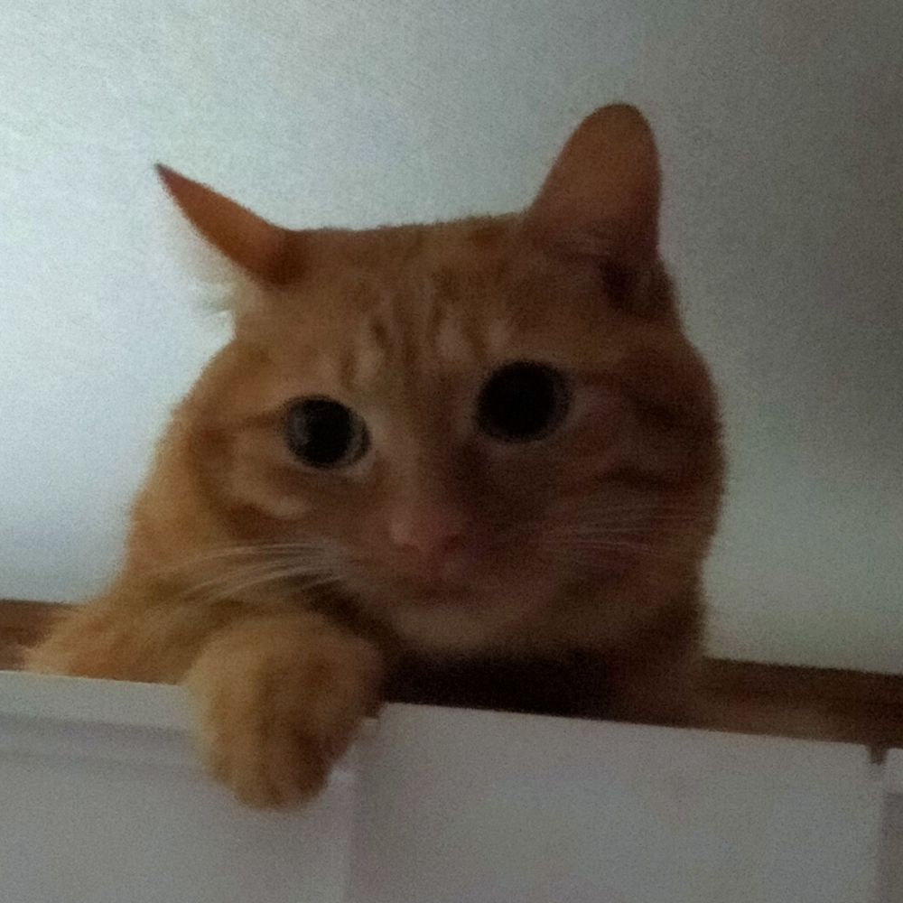 ななふく！