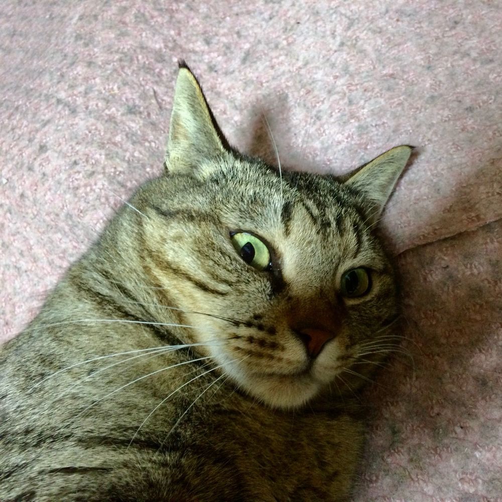 なかじー