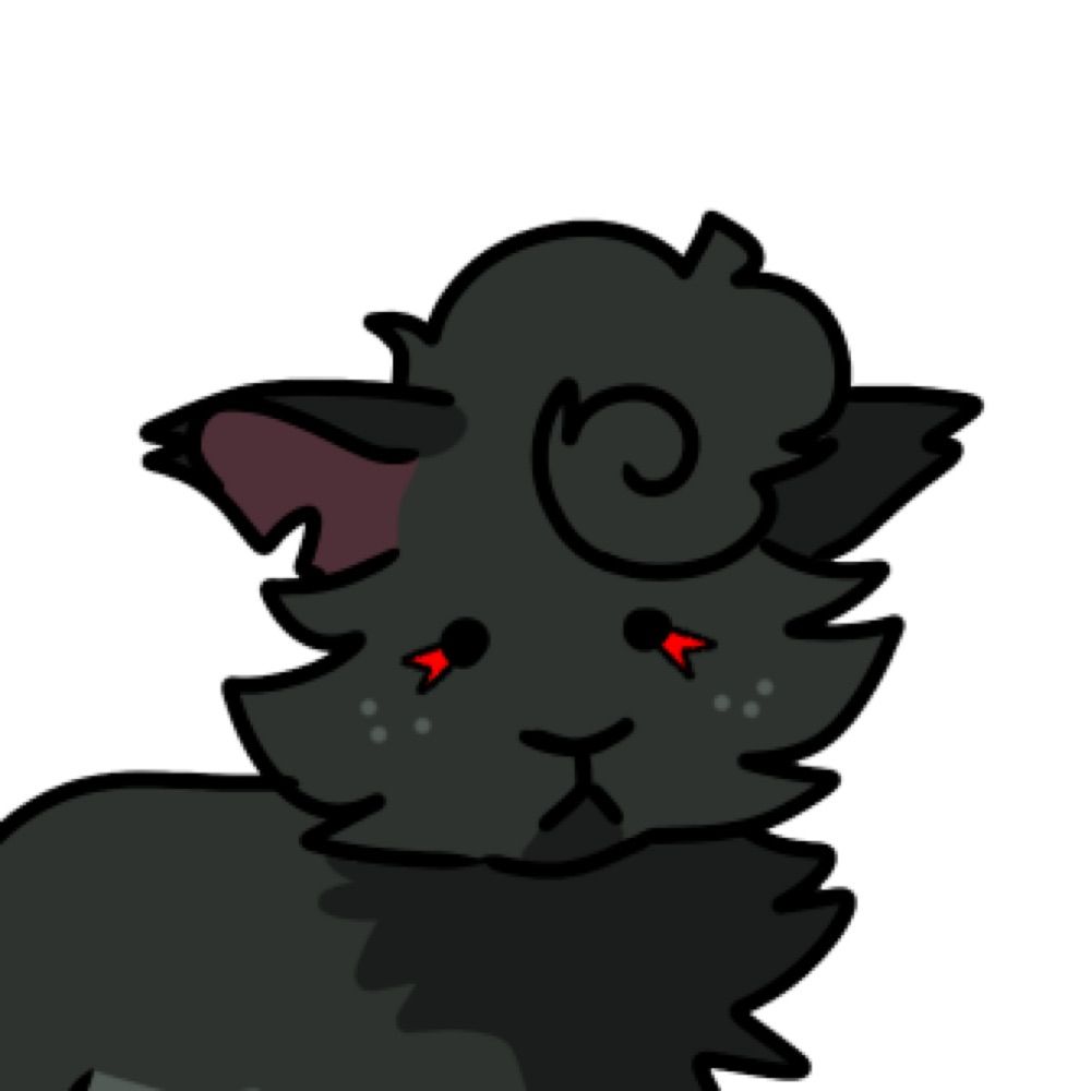 Catbird.stuff