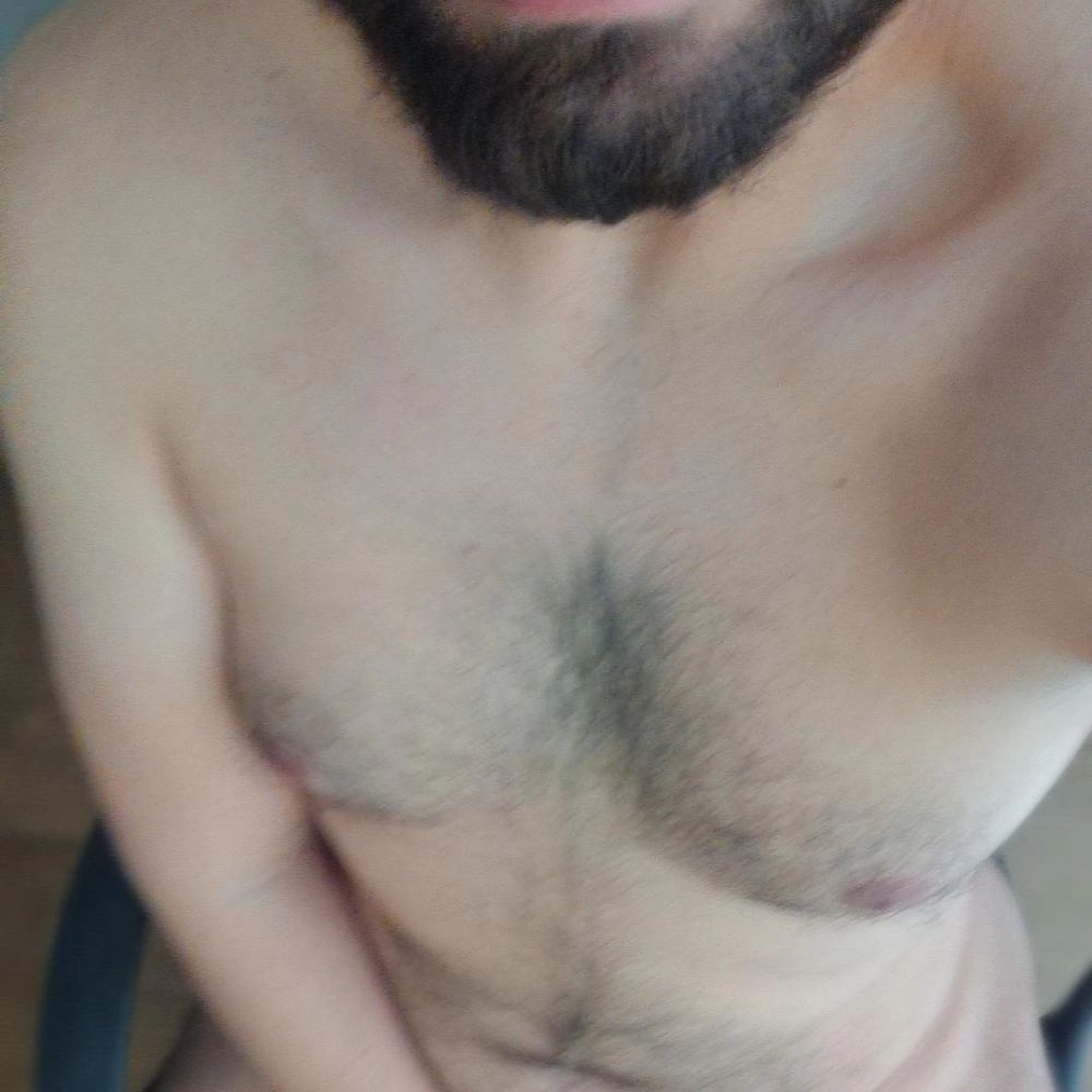 Urso SP