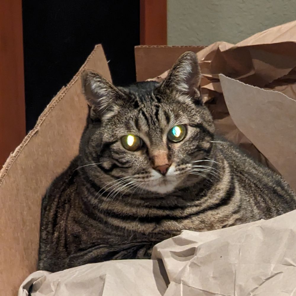 big boss