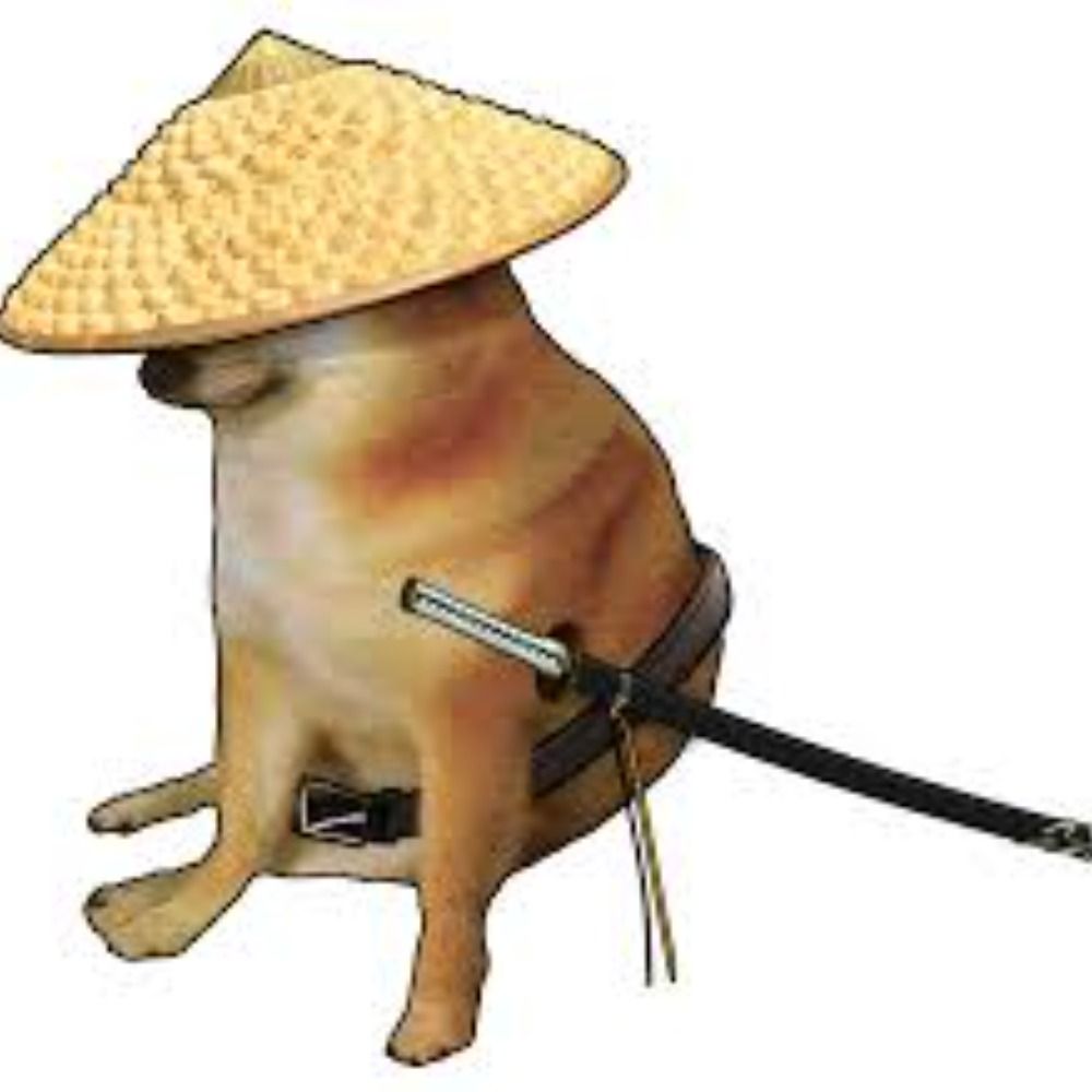Último samurai de caruaru