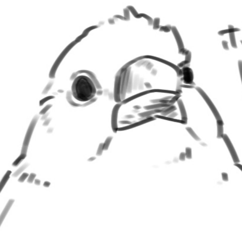 いさご🪵