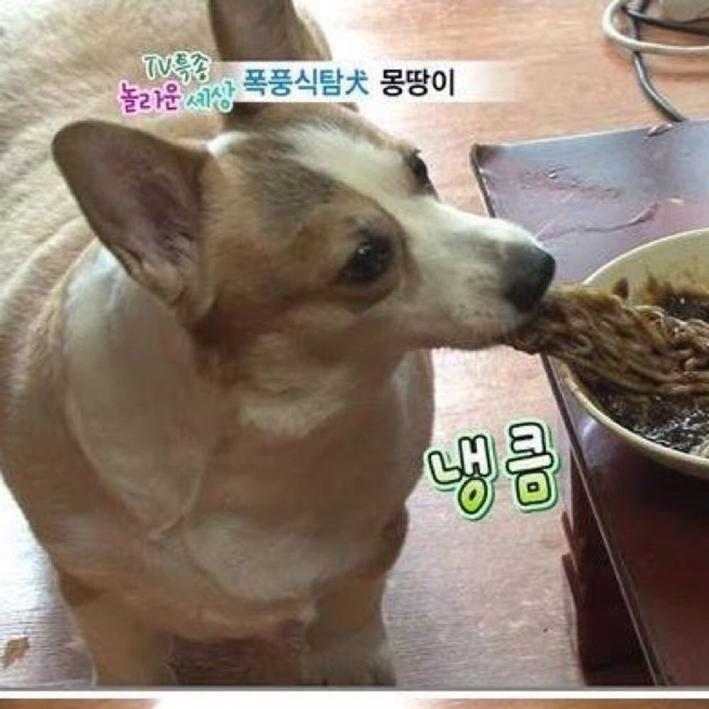 레몽