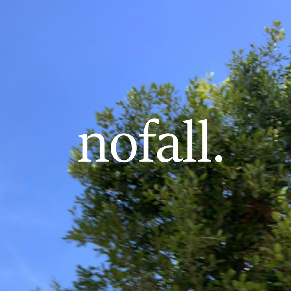 NoFall