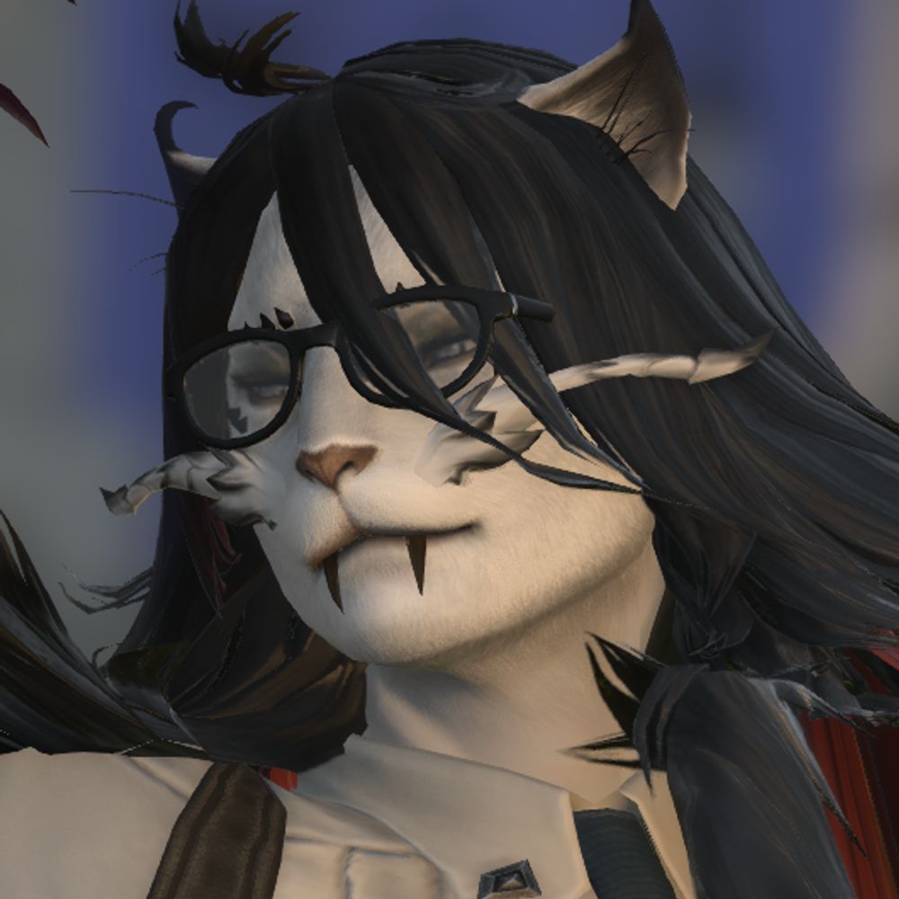 funny cat