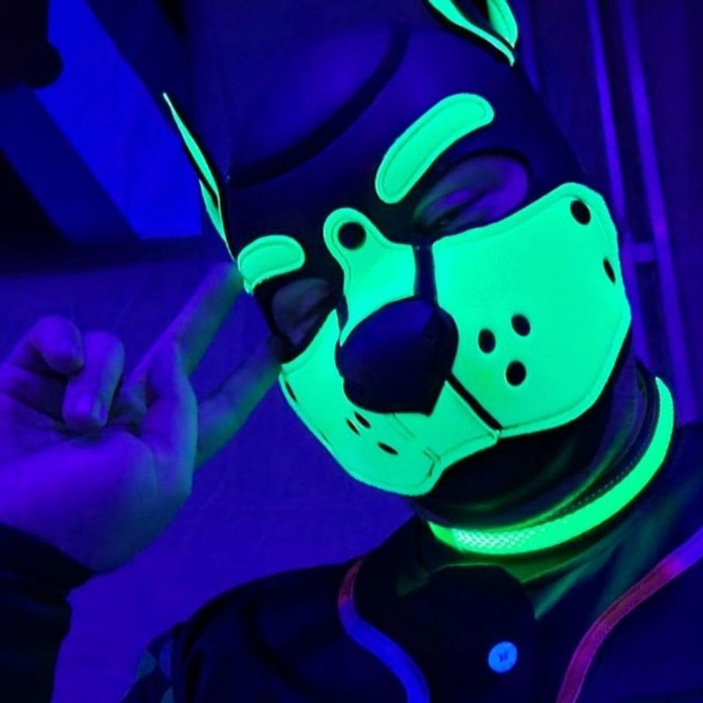 Pup_Dart