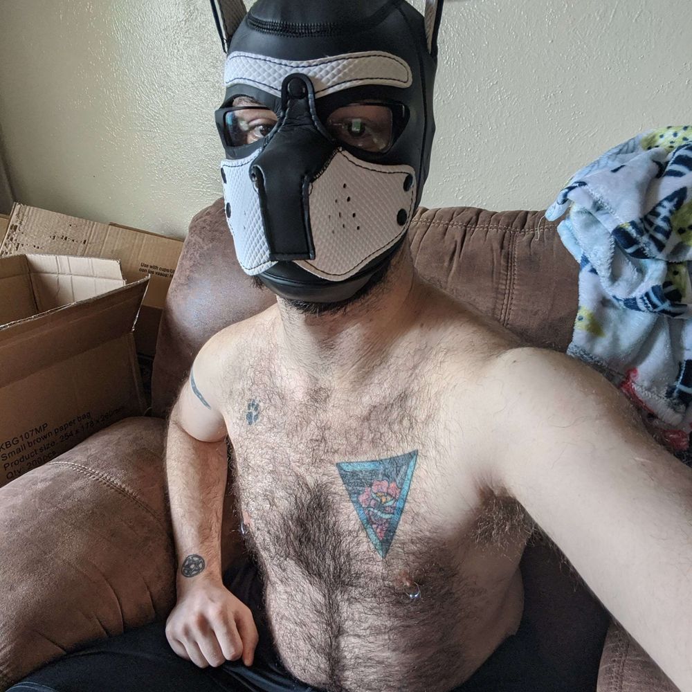 Pup Blaze