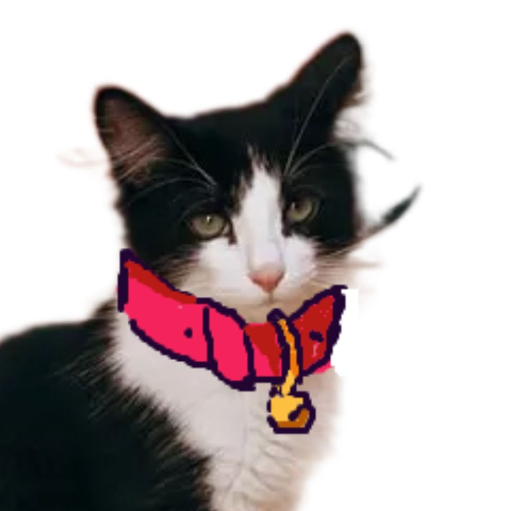 Furvidd (yes also that one)