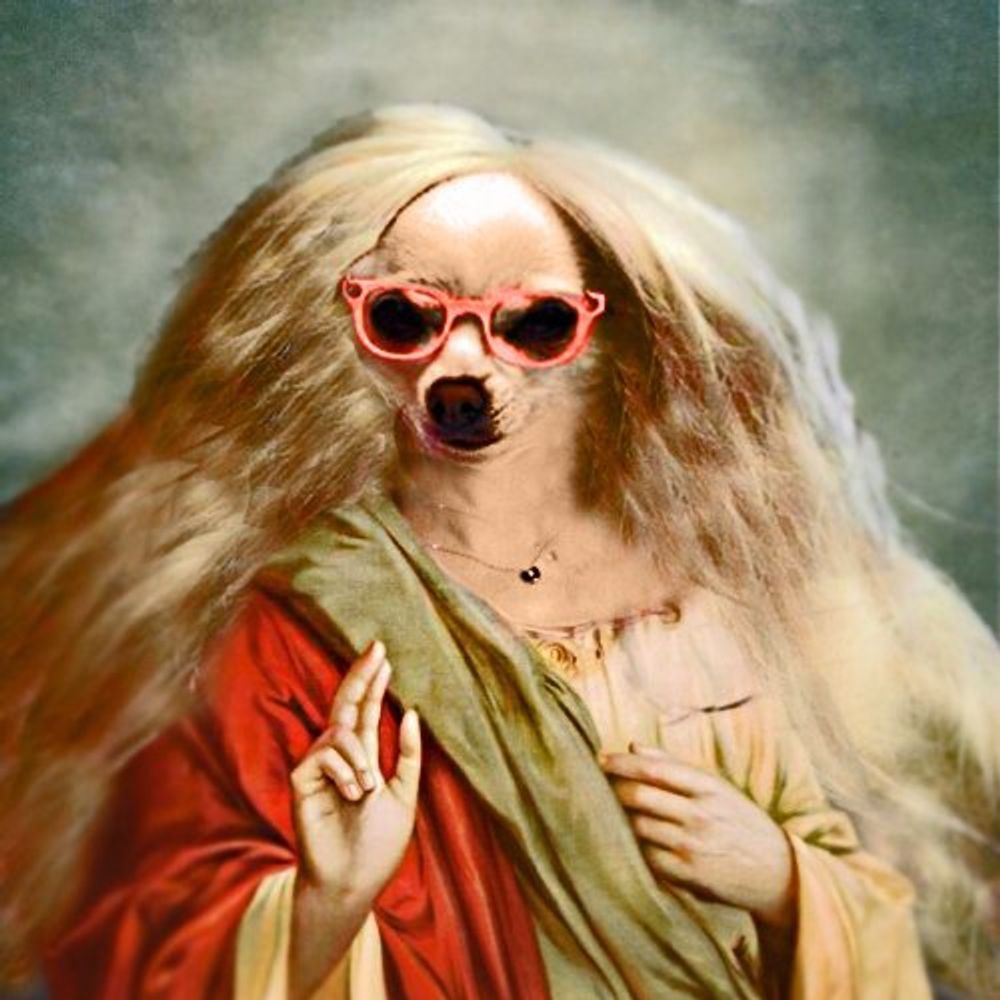 Queen Topanga