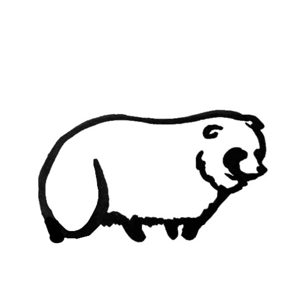 たぬ
