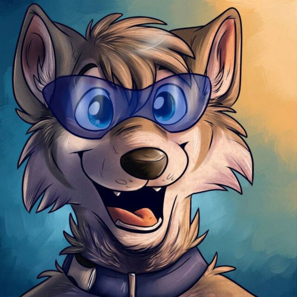 Woo Husky