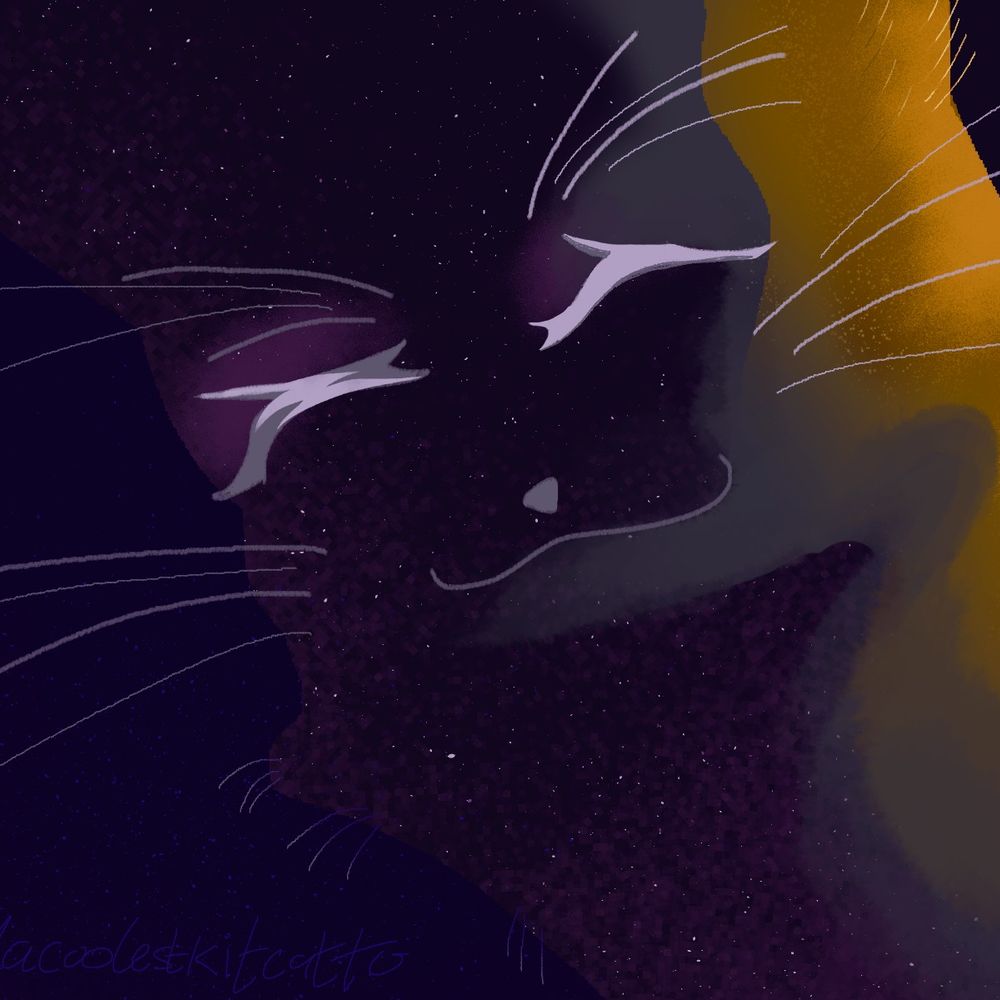 Catto