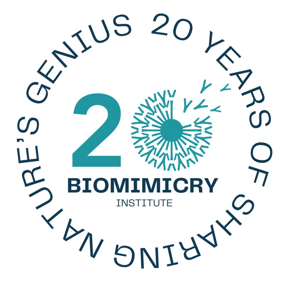 The Biomimicry Institute