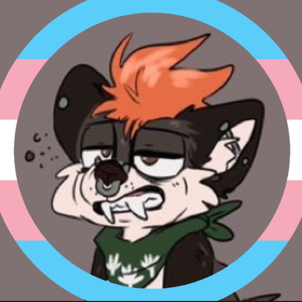 🏳️‍⚧️PoperFurball🏳️‍⚧️