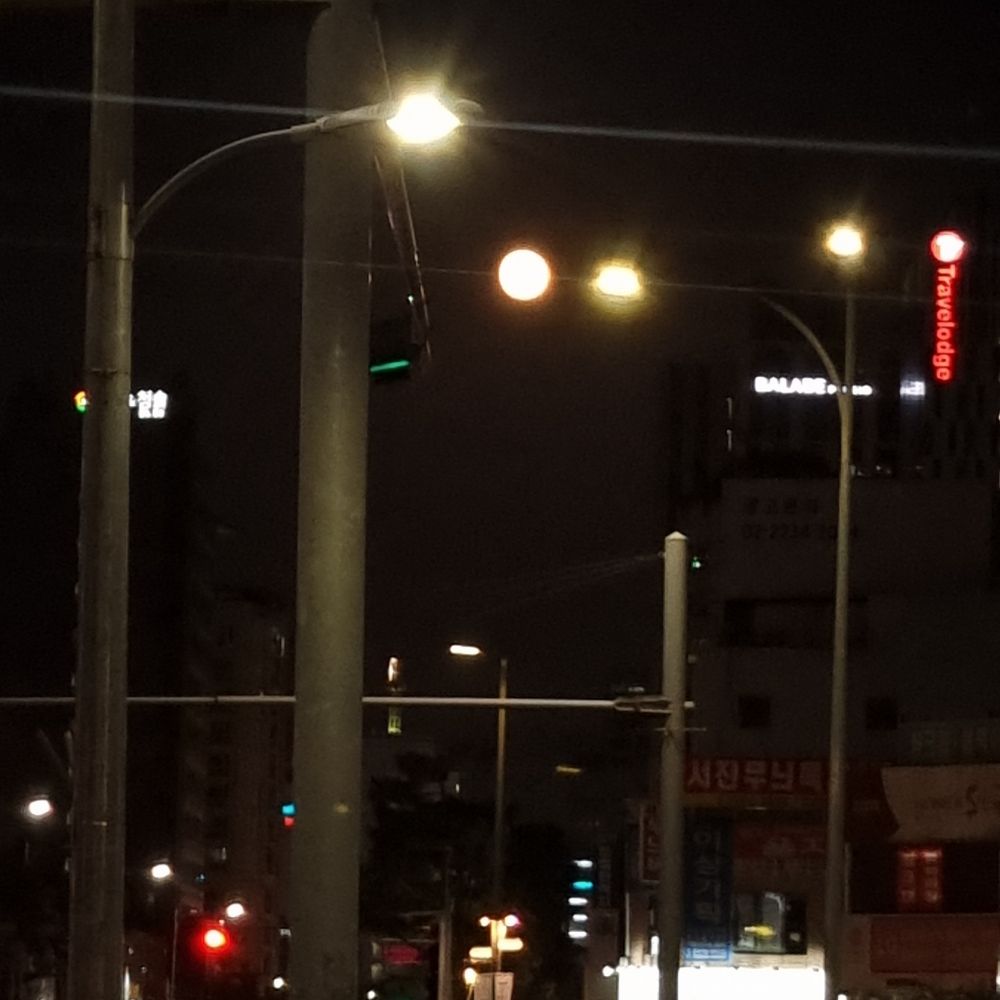 잭과콩나무