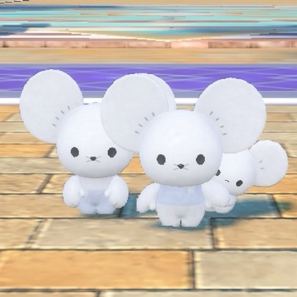 えこ