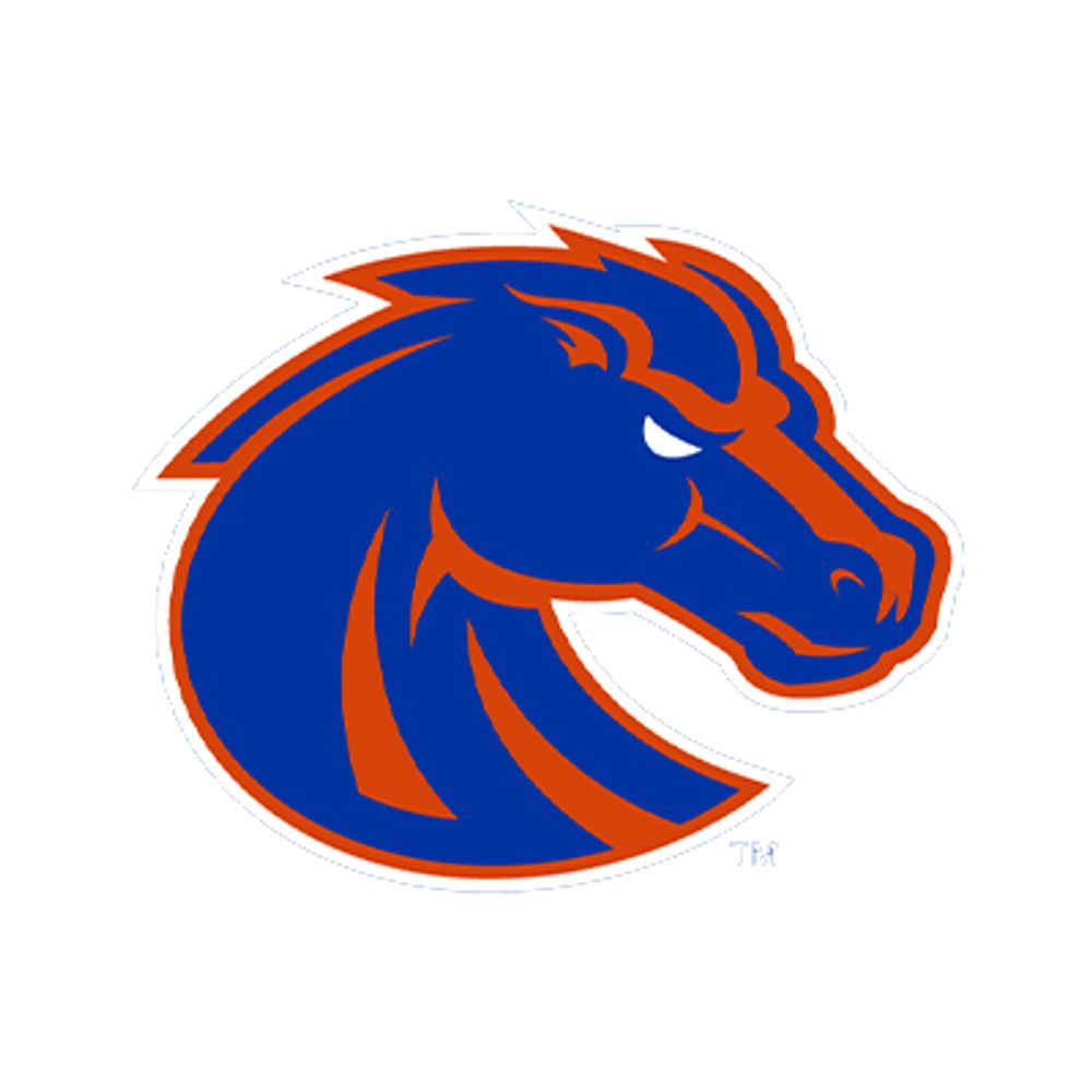 Boise State Broncos