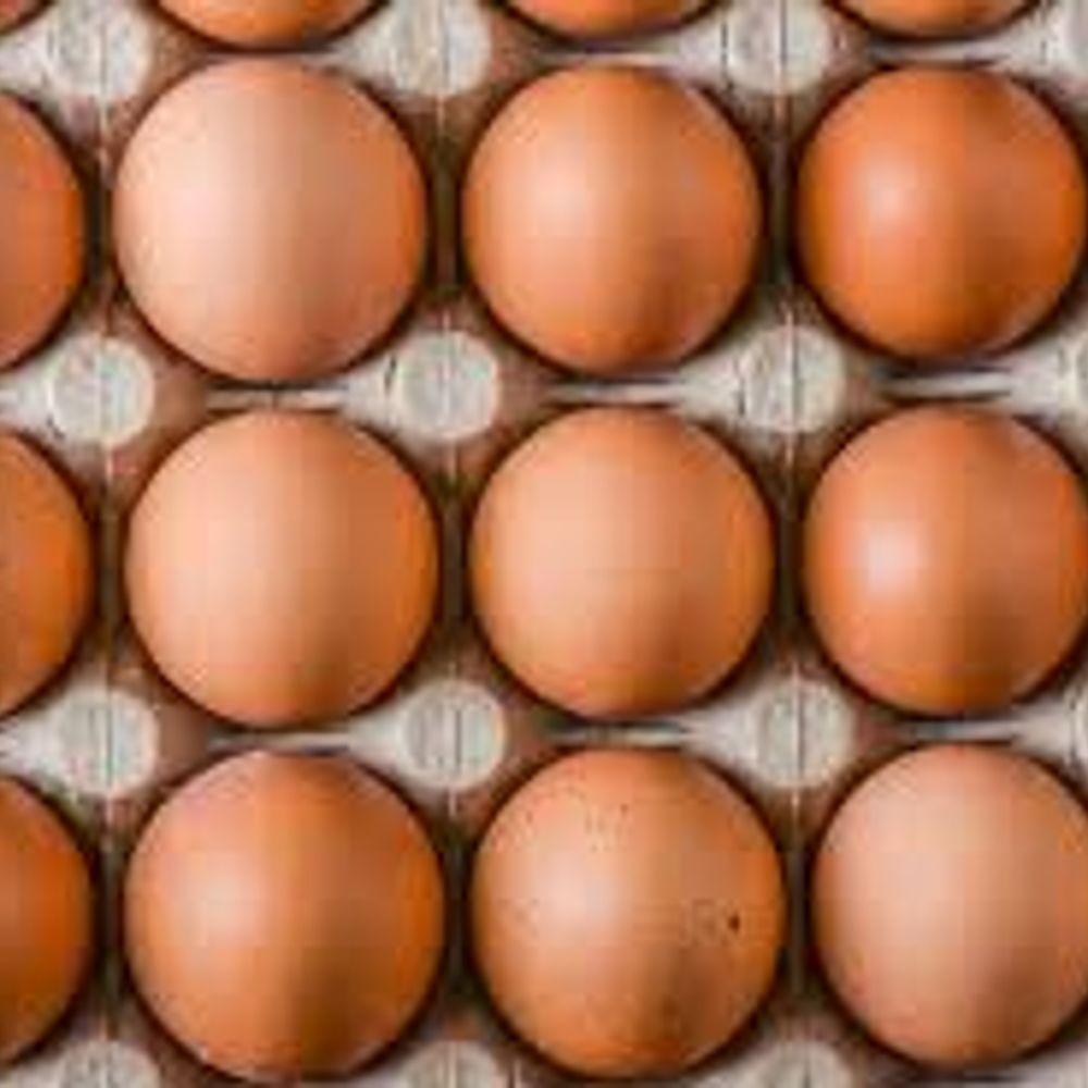 Cost of Eggs