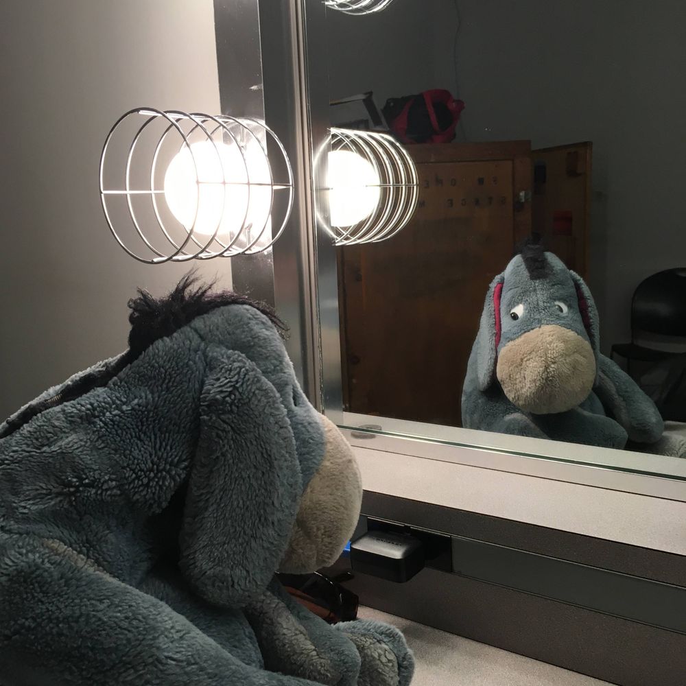 Erin, Erin Joy, EJ, or Eeyore's Mom...dealer's choice