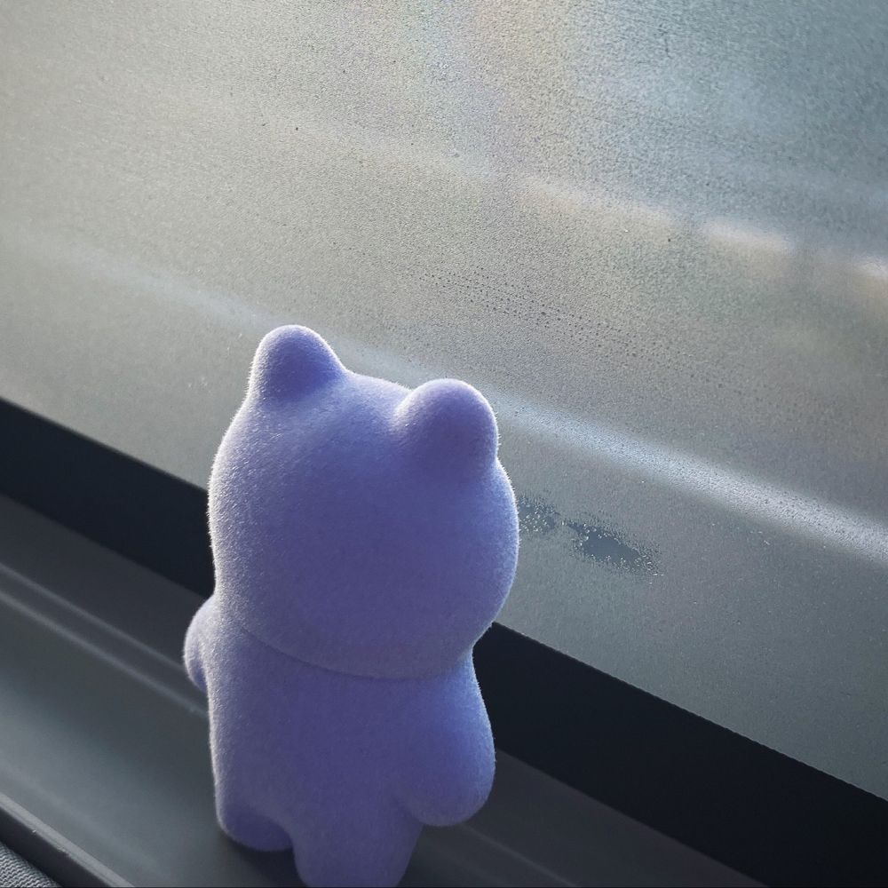 さめかわ