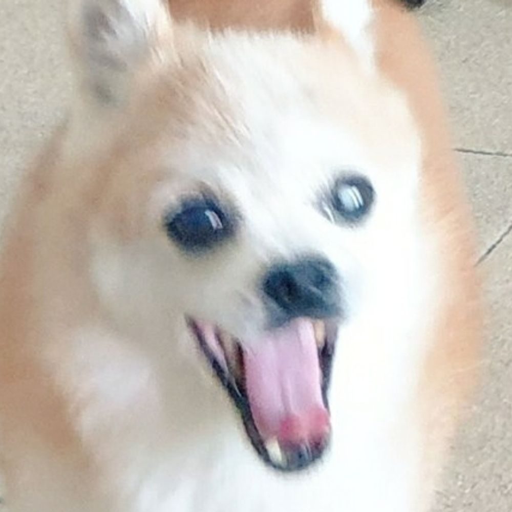 파워