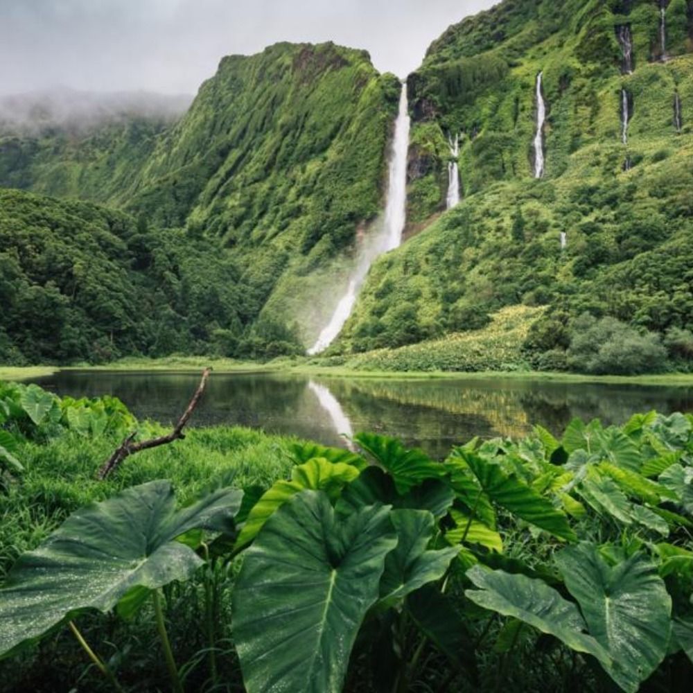 ISA-Environmental Studies Section