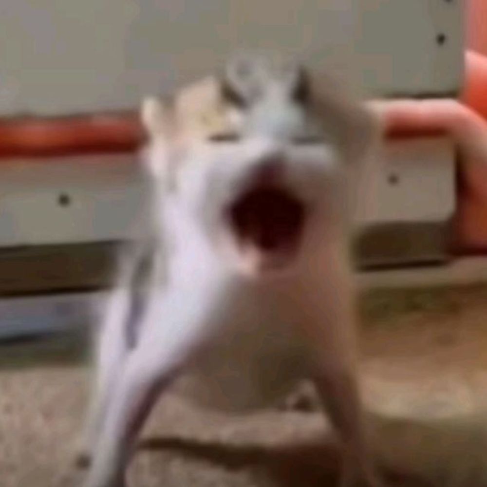 lick