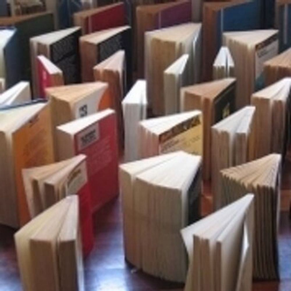 Un libro al día
