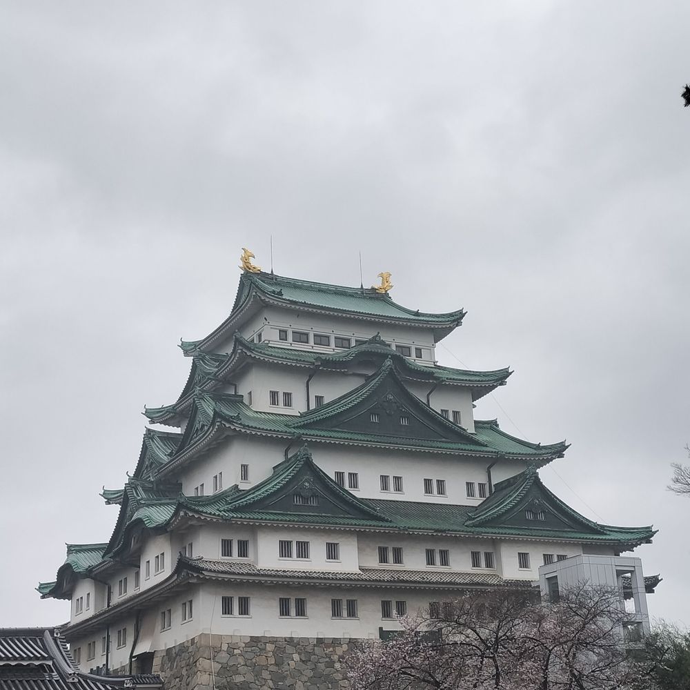 朝井