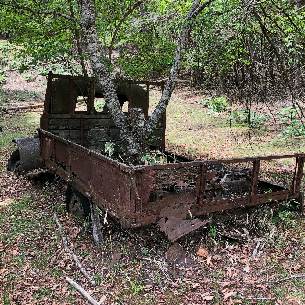 ToriTori