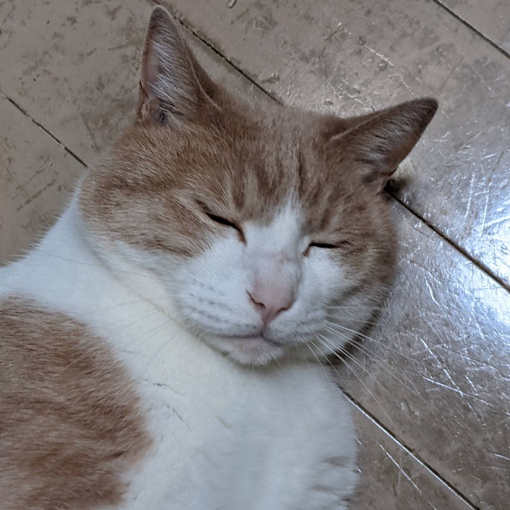 秋