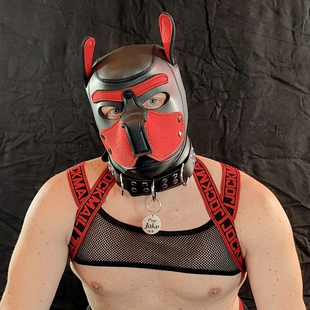 Pup Jake wants to play!