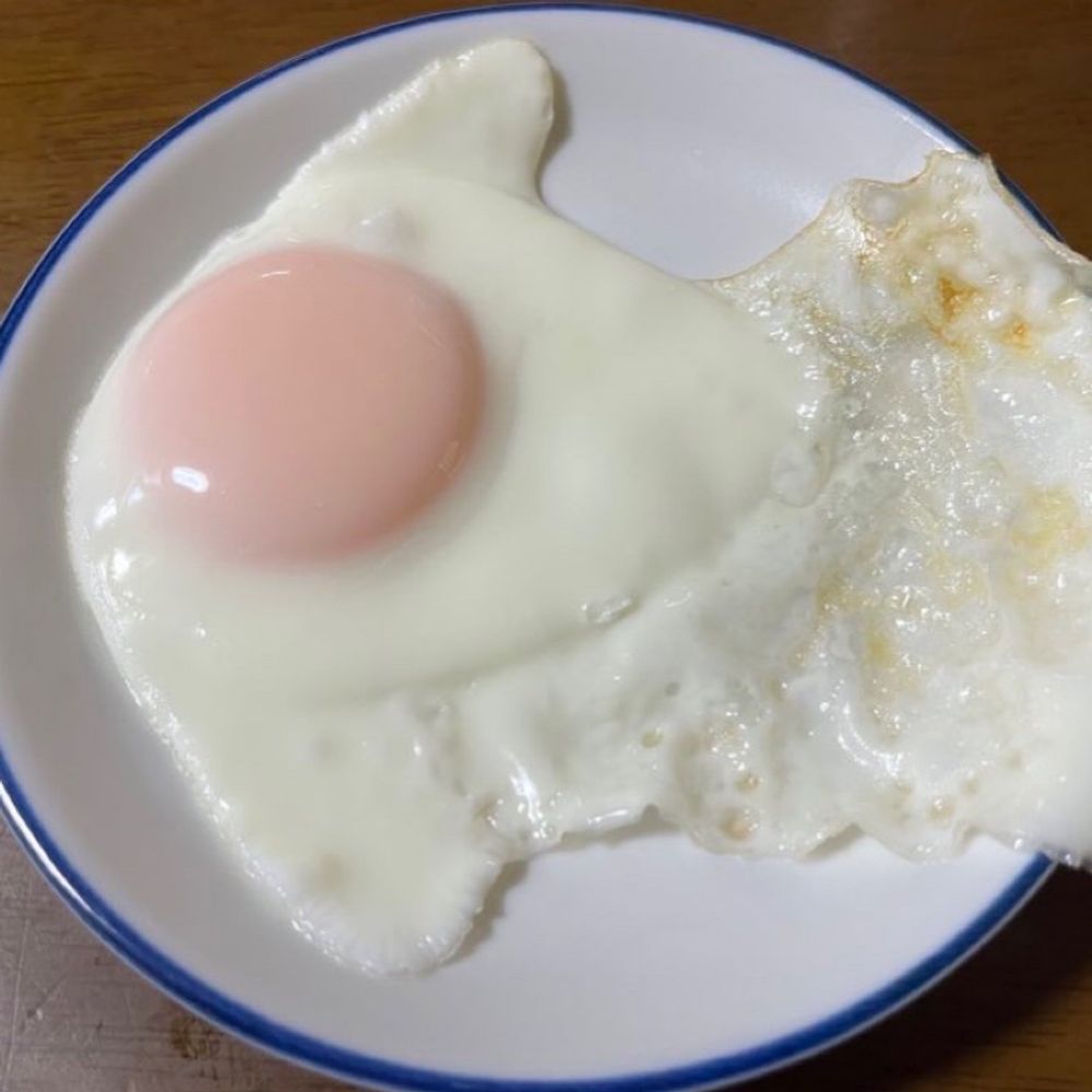 さめ