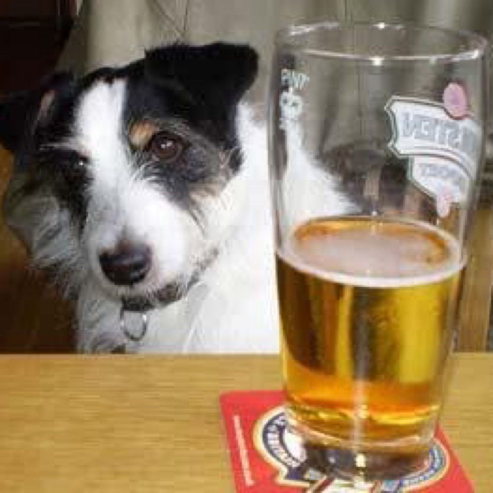 Dog Friendly Pubs