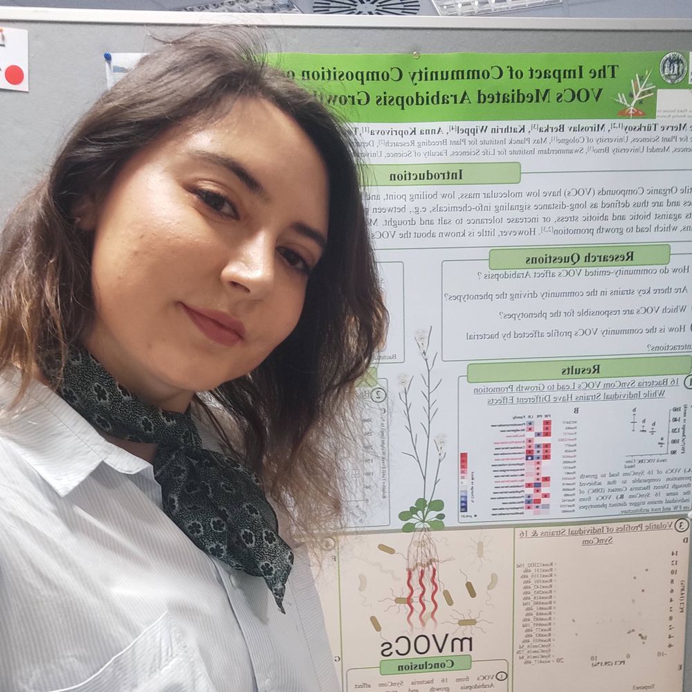 Gözde Merve Türksoy